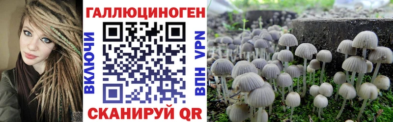 Галлюциногенные грибы MAGIC MUSHROOMS  Купить закладки  Новороссийск 
