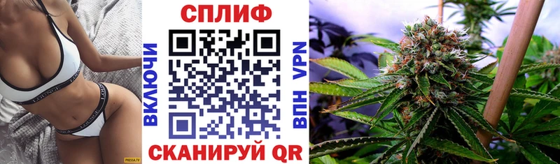 Купить где  Новороссийск  Конопля сатива 